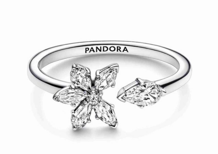 Anillo Pandora abierto Herbario Brillante